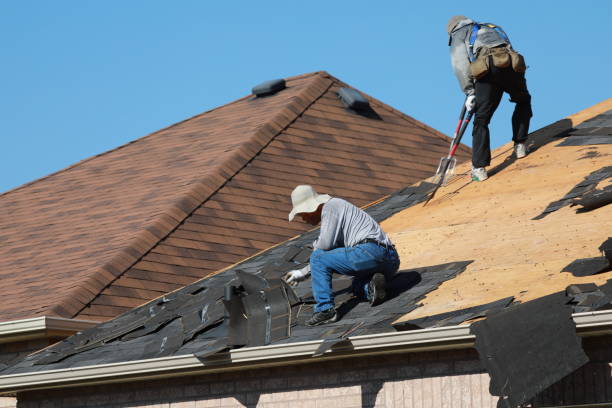 Best Hot Roofs  in Evansdale, IA